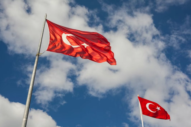 1765269235593722.png 44211111111111.png