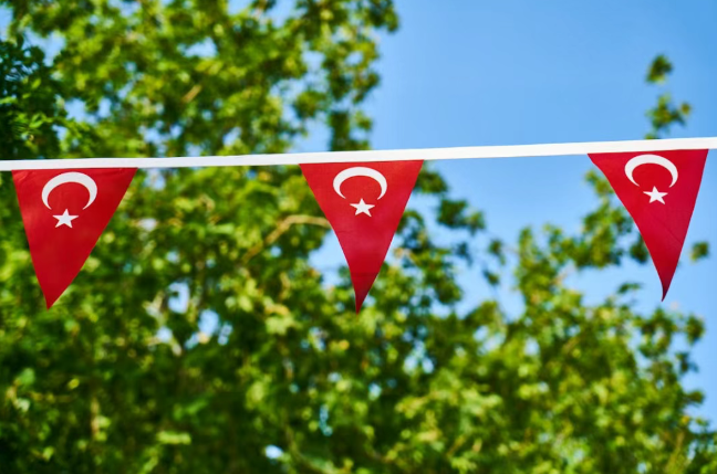 1765269545268945.png 56432.png