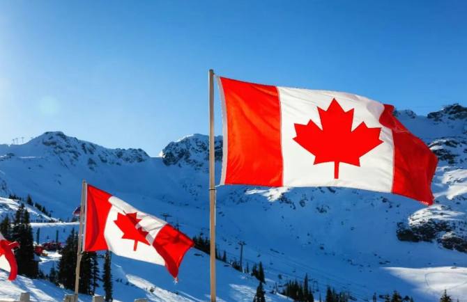 1766388853817008.png 444444444444444.png