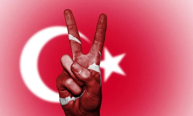 1776059303385283.png 12345612312312.png